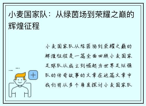 小麦国家队：从绿茵场到荣耀之巅的辉煌征程