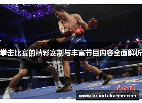 拳击比赛的精彩赛制与丰富节目内容全面解析 拳击比赛的精彩赛制与丰富节目内容全面解析