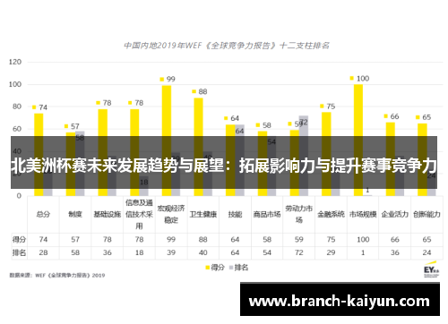 北美洲杯赛未来发展趋势与展望：拓展影响力与提升赛事竞争力