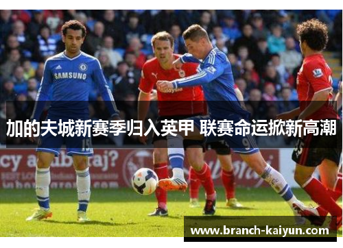 加的夫城新赛季归入英甲 联赛命运掀新高潮 加的夫城新赛季归入英甲 联赛命运掀新高潮