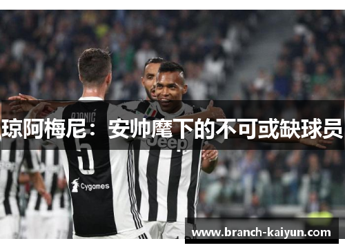 琼阿梅尼:安帅麾下的不可或缺球员 琼阿梅尼:安帅麾下的不可或缺球员