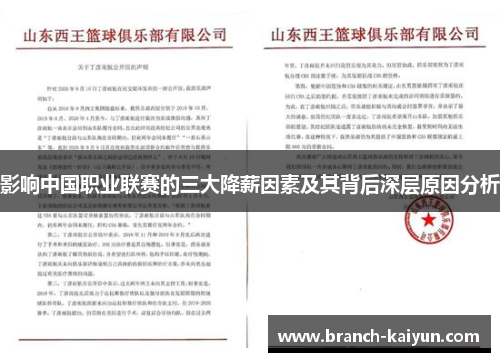 影响中国职业联赛的三大降薪因素及其背后深层原因分析
