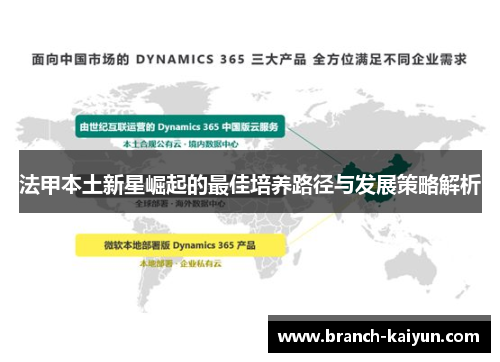 法甲本土新星崛起的最佳培养路径与发展策略解析